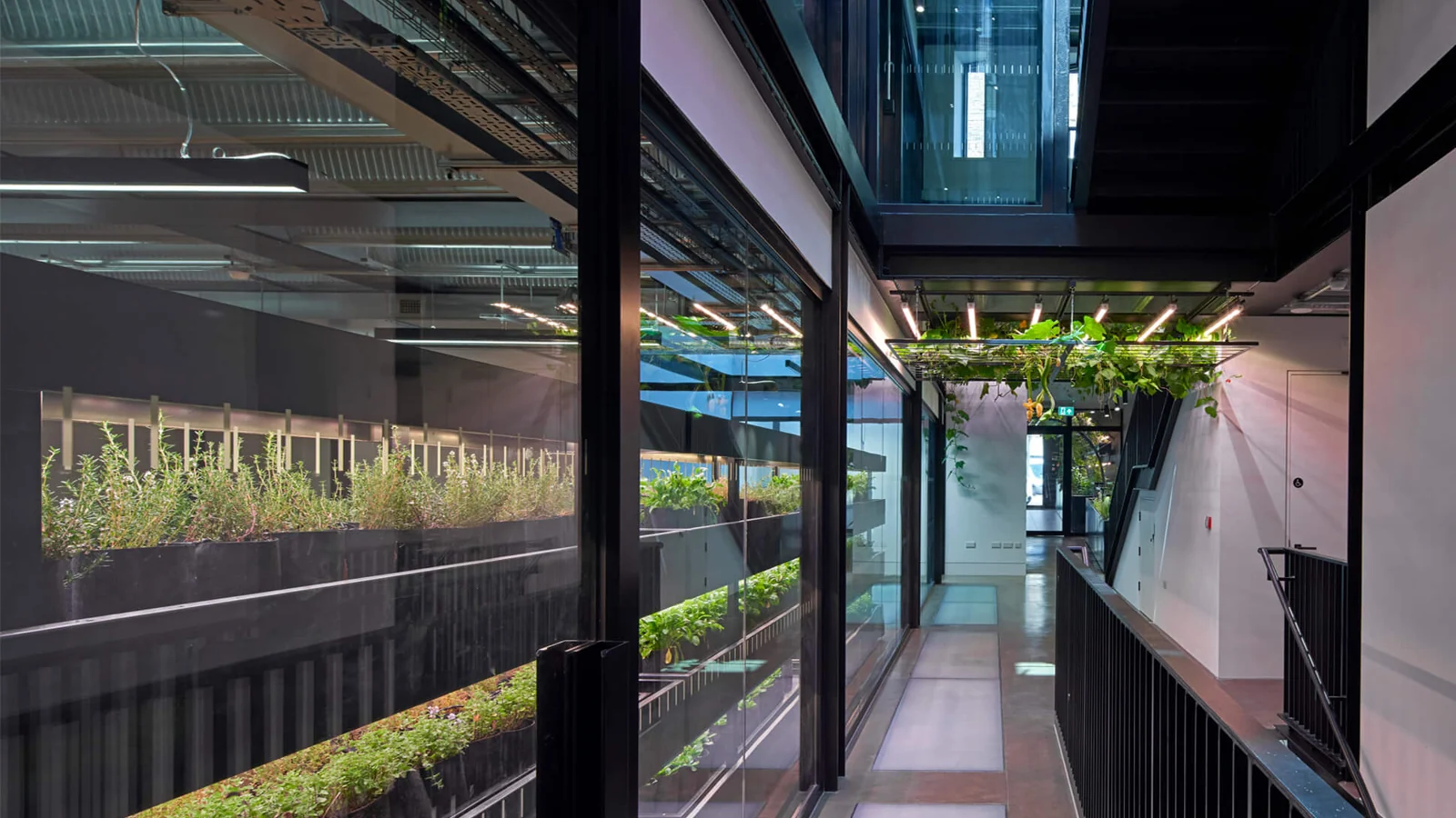 Office with biophilic planting and refurbished linear lighting